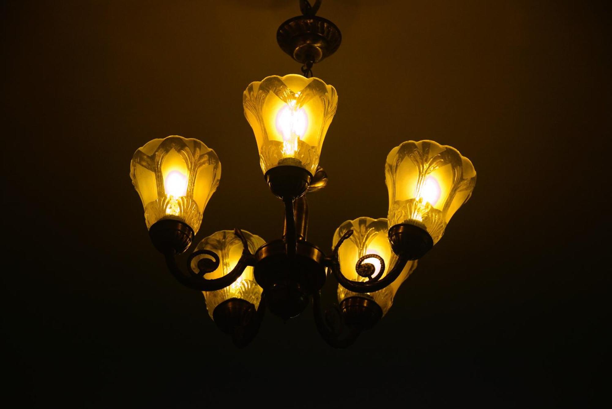 Blue Beds Homestay, Exotic 2Bhk Ac House Jabalpur Exteriör bild